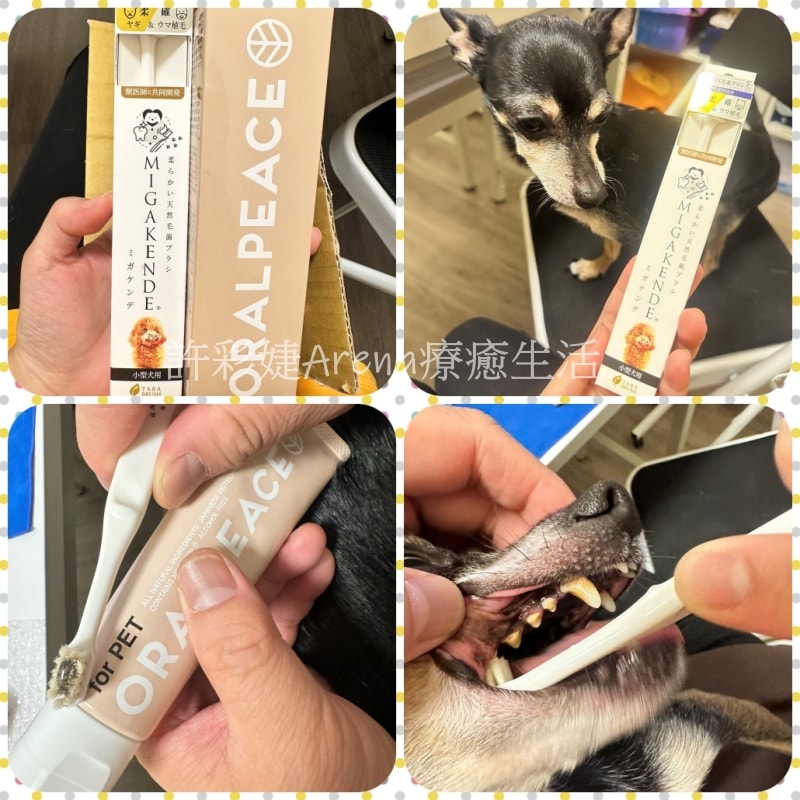 開箱體驗》毛孩的口氣新清術!打擊口臭,第一次就讓狗狗愛上刷牙~ - 第1張圖