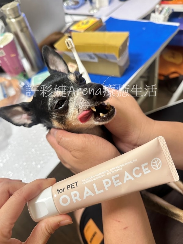 開箱體驗》毛孩的口氣新清術!打擊口臭,第一次就讓狗狗愛上刷牙~ - 第6張圖